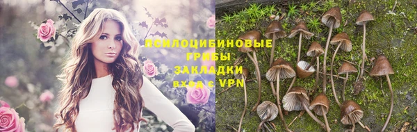 героин Инсар