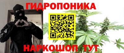 СК Лесосибирск