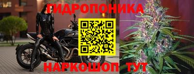 СК Лесосибирск