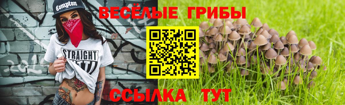 купить  сайты  Галлюциногенные грибы Magic Shrooms  Слободской  Вход с VPN  Галлюциногенные грибы мухоморы 